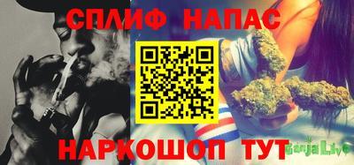 Альфа ПВП Ливны
