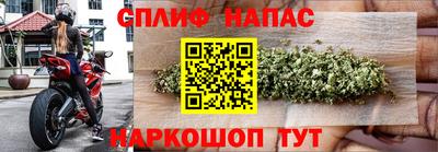 ECSTASY Лесосибирск