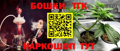 ECSTASY Лесосибирск