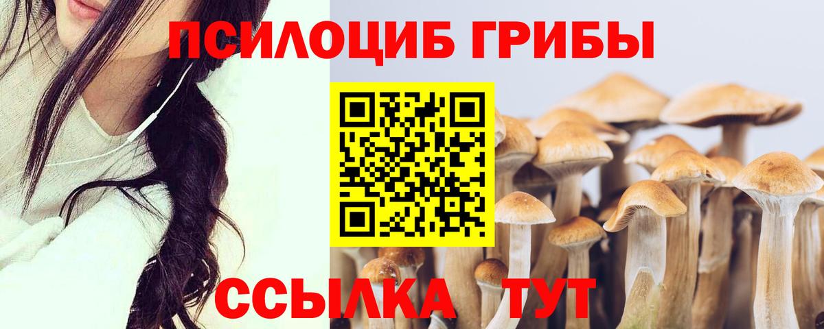 Псилоцибиновые грибы мухоморы Чапаевск
